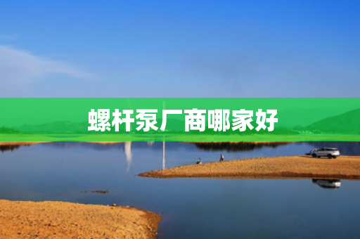  螺杆泵厂商哪家好