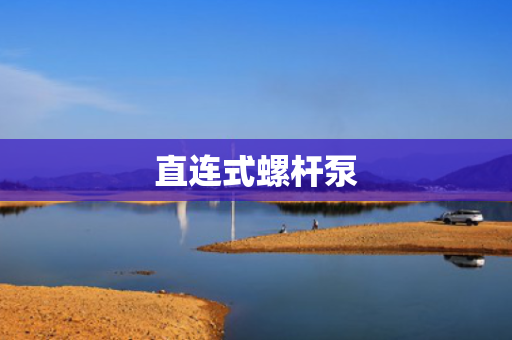 直连式螺杆泵