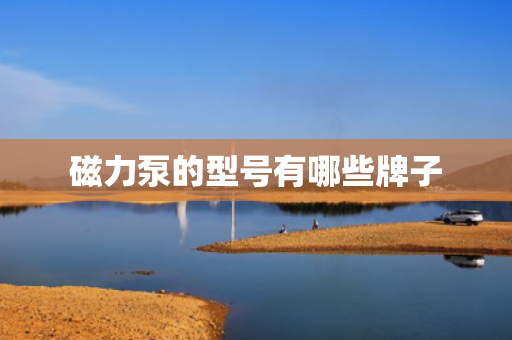 磁力泵的型号有哪些牌子