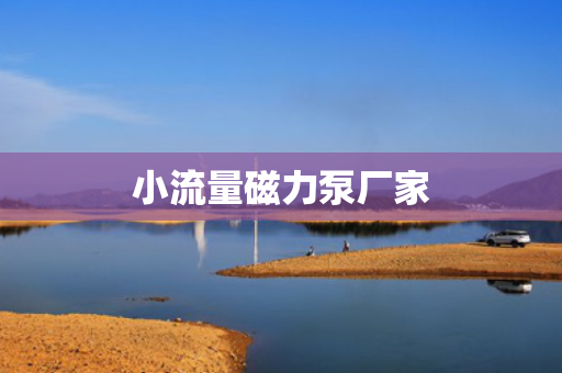 小流量磁力泵厂家