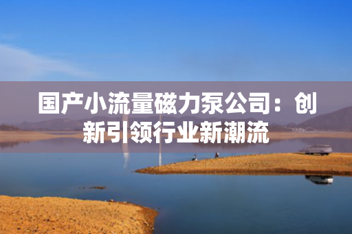 国产小流量磁力泵公司：创新引领行业新潮流