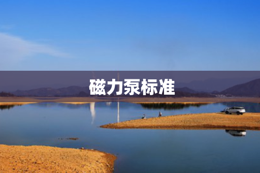  磁力泵标准