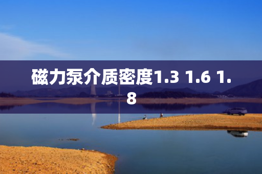 磁力泵介质密度1.3 1.6 1.8