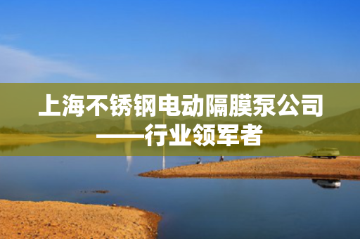上海不锈钢电动隔膜泵公司——行业领军者