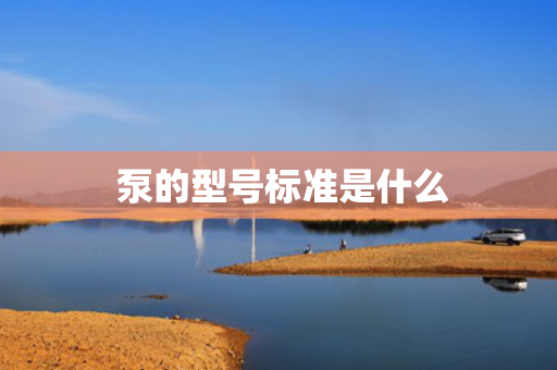  泵的型号标准是什么
