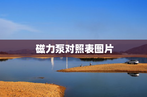  磁力泵对照表图片