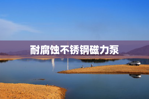 耐腐蚀不锈钢磁力泵