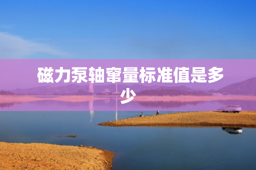  磁力泵轴窜量标准值是多少