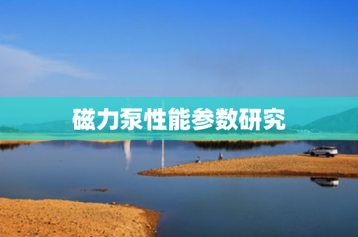 磁力泵性能参数研究