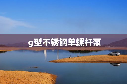  g型不锈钢单螺杆泵