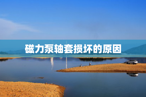 磁力泵轴套损坏的原因