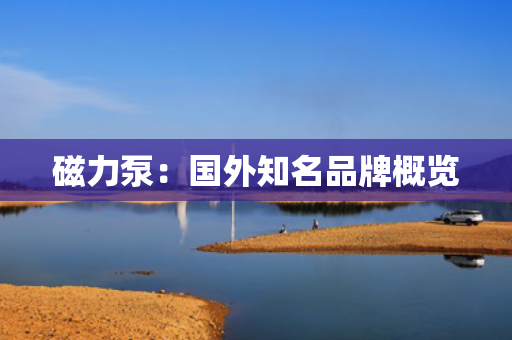 磁力泵：国外知名品牌概览