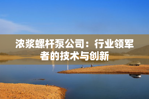 浓浆螺杆泵公司：行业领军者的技术与创新