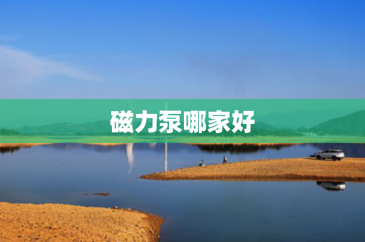 磁力泵哪家好