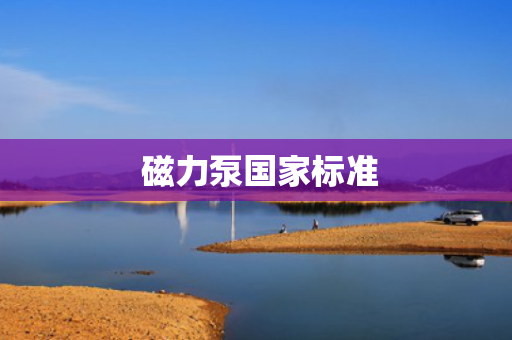  磁力泵国家标准