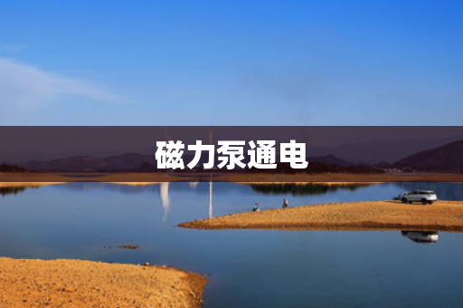 磁力泵通电