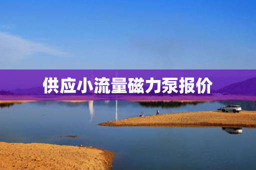 供应小流量磁力泵报价