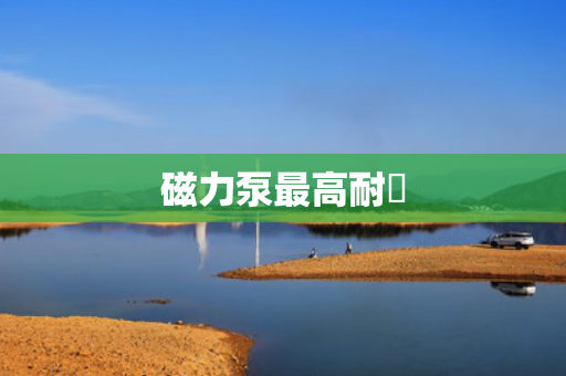 磁力泵最高耐溫