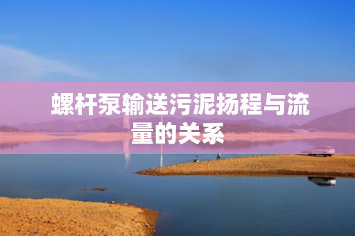  螺杆泵输送污泥扬程与流量的关系