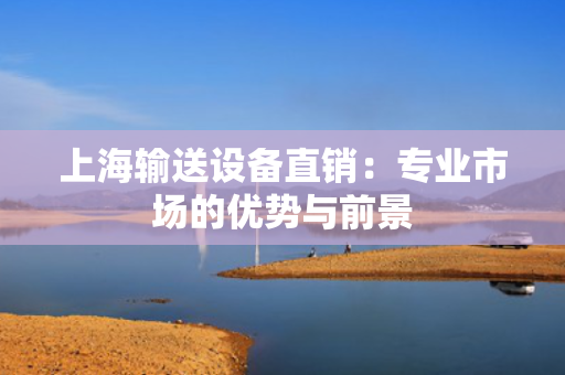 上海输送设备直销：专业市场的优势与前景