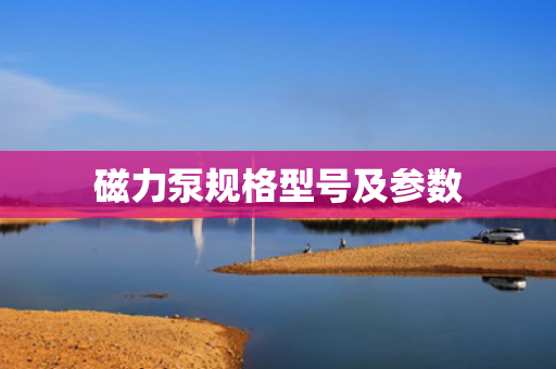 磁力泵规格型号及参数