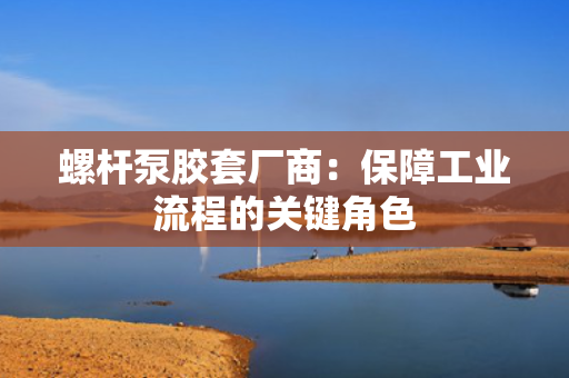 螺杆泵胶套厂商：保障工业流程的关键角色