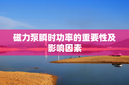 磁力泵瞬时功率的重要性及影响因素