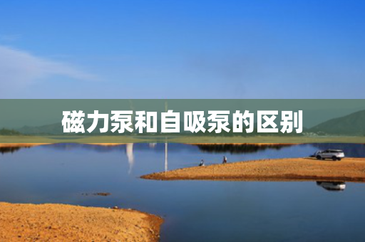 磁力泵和自吸泵的区别