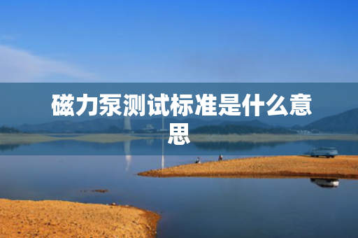  磁力泵测试标准是什么意思