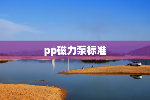 pp磁力泵标准