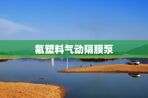 氟塑料气动隔膜泵