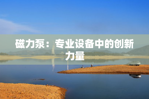 磁力泵：专业设备中的创新力量