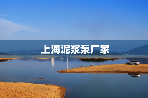  上海泥浆泵厂家