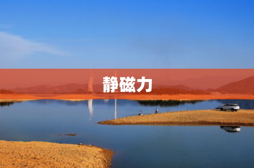 静磁力