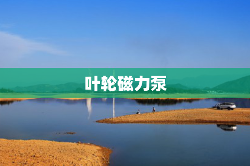 叶轮磁力泵