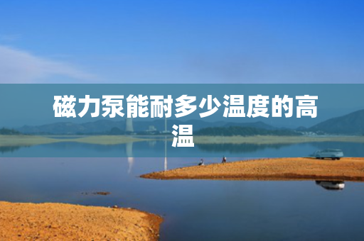  磁力泵能耐多少温度的高温
