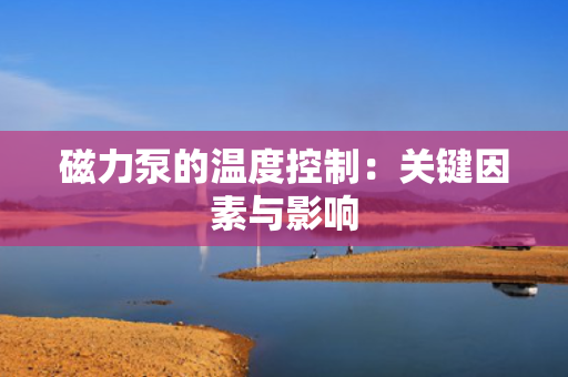 磁力泵的温度控制：关键因素与影响