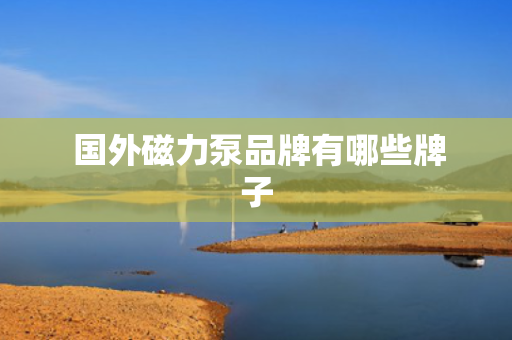  国外磁力泵品牌有哪些牌子