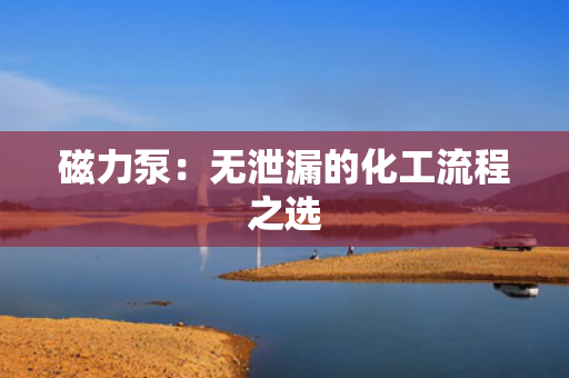 磁力泵：无泄漏的化工流程之选