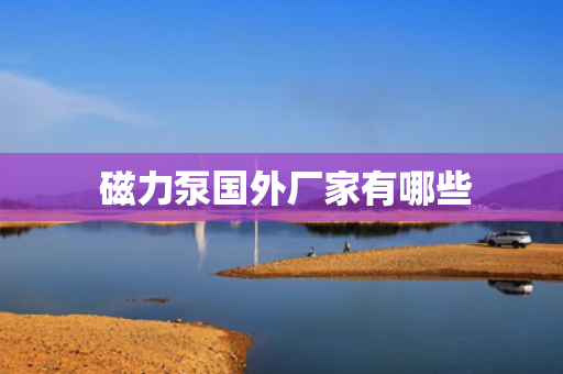  磁力泵国外厂家有哪些
