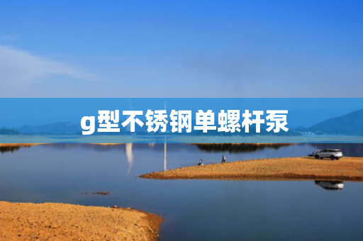  g型不锈钢单螺杆泵