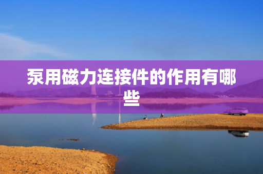 泵用磁力连接件的作用有哪些