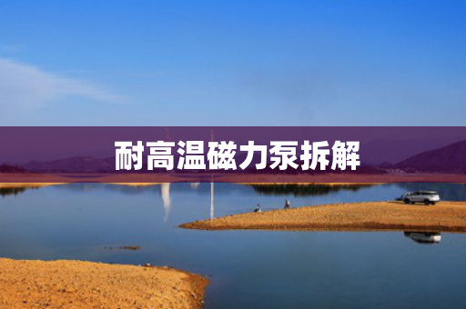  耐高温磁力泵拆解
