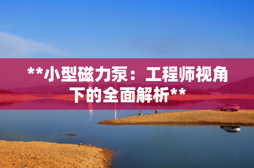**小型磁力泵：工程师视角下的全面解析**