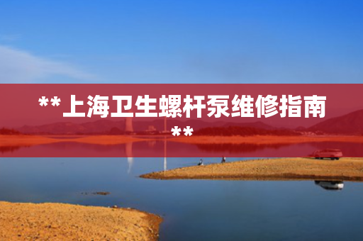 **上海卫生螺杆泵维修指南**