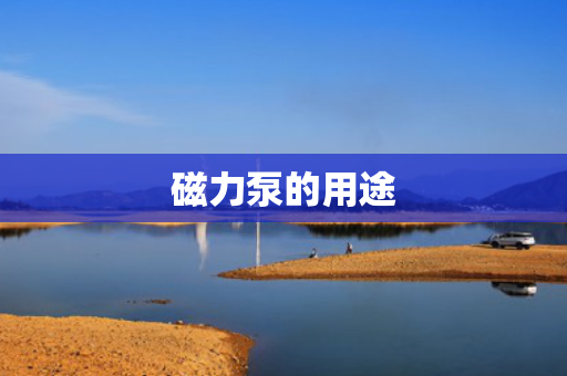 磁力泵的用途