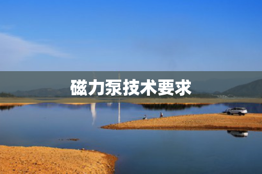 磁力泵技术要求