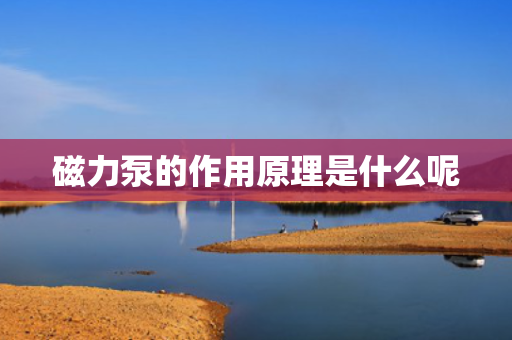 磁力泵的作用原理是什么呢