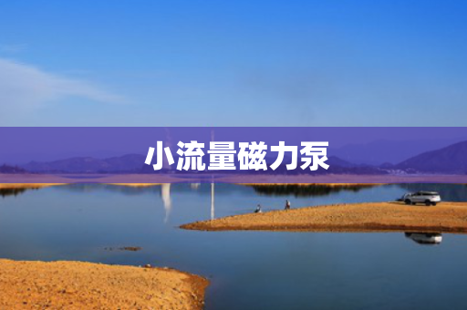  小流量磁力泵
