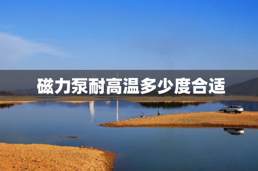  磁力泵耐高温多少度合适